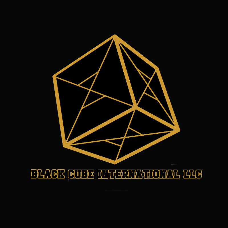 Black Cube International LLC Logo